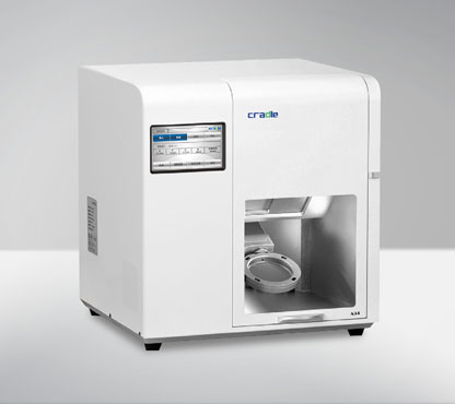 Natural Dental Anatomy