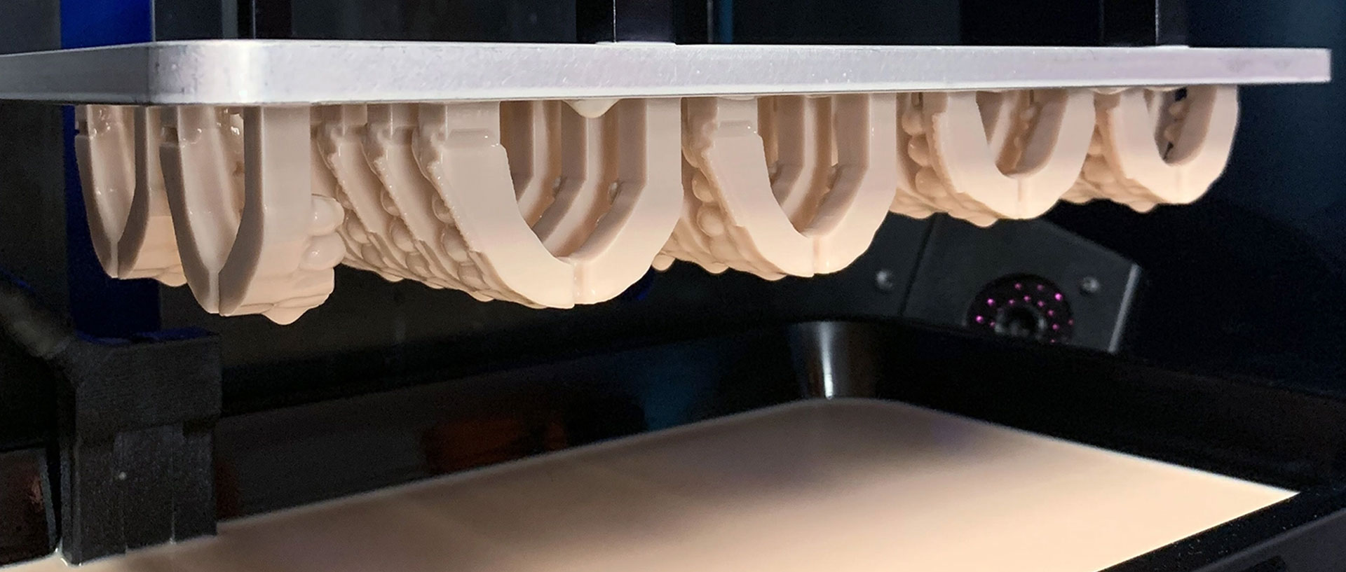 Natural Dental Anatomy